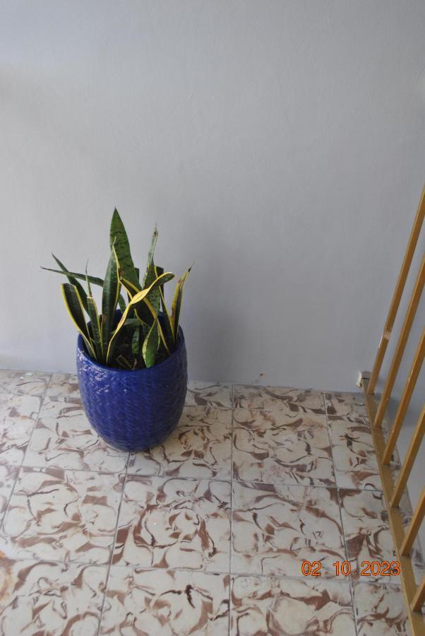Sleeps 8, Havana Nights In Miami Leilighet Eksteriør bilde